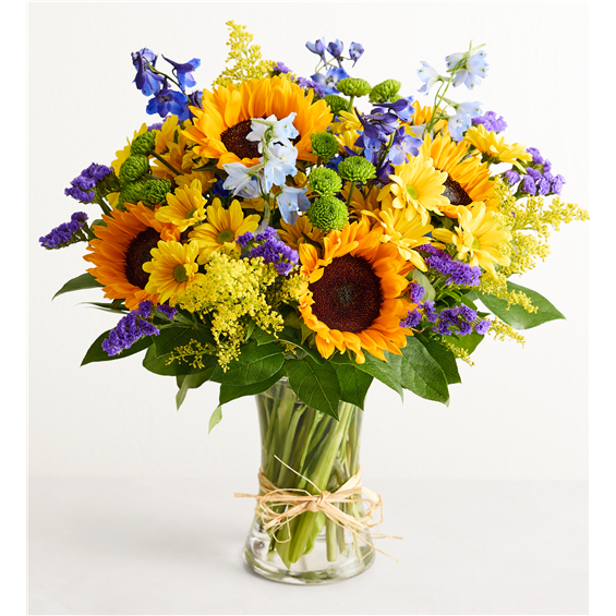191119xl